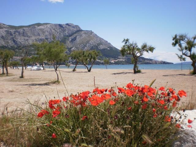 Apartment Danka Omiš Exteriér fotografie